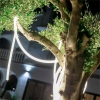 Girlanda zewnętrzna NEO 3117 LED 5W 2700K IP65 biała