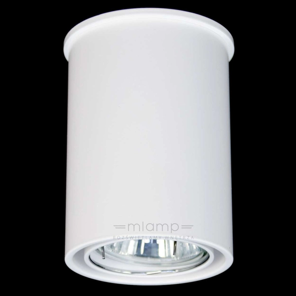 Spot LAMPA sufitowa OSAKA 7022 Shilo natynkowa OPRAWA tuba DOWNLIGHT biały