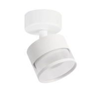 przezroczysty || biały