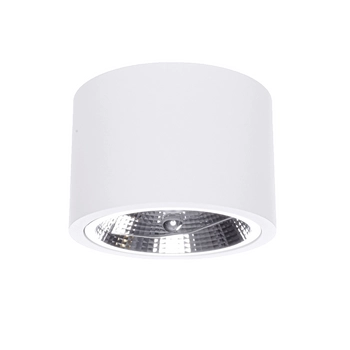 Spot lampa sufitowa CAMINO LP-1101/1SM WH Light Prestige plafoniera oprawa downlight tuba biała