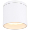 LAMPA sufitowa stropowa ALCALA 32063W Globo zewnętrzna OPRAWA tuba outdoor IP44 biała przezroczysta