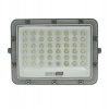 Elewacyjny naświetlacz LED srebrny SLP3126 100W 6000K IP65 z regulacją