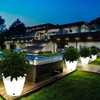 Owalna lampa stojąca Flower ES-FL022 Step LED 5W RGBW IP65 donica biała