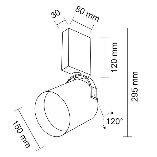 Spot LAMPA sufitowa TENRI 2242 Shilo reflektorowa OPRAWA regulowana TUBA czarna