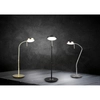 Biurkowa lampka z regulacją MONZA 523310108 LED 12W 2300-4000K złoty