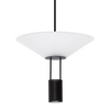 Wisząca lampa AYAVIRI LE44595 LED 8W 3000K szklana czarna biała