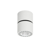 Regulowany downlight pokojowy Herios LED 12W 3000K tuba z regulacją biała