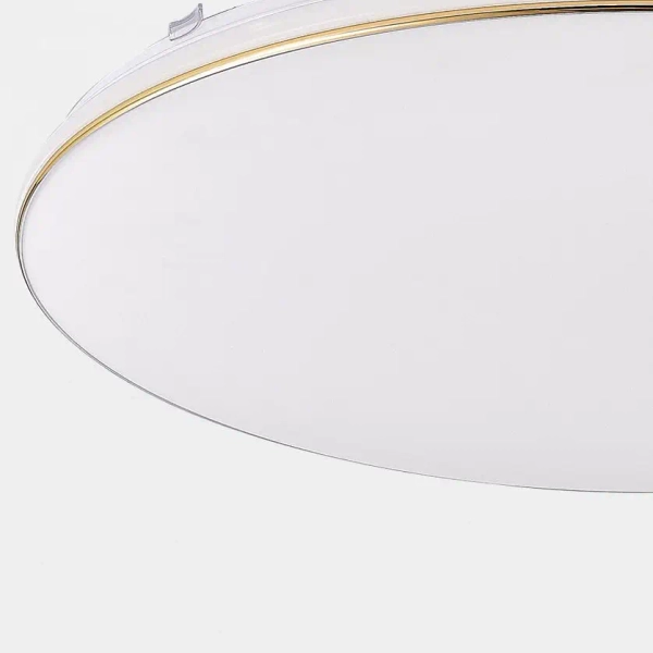 Minimalistyczna natynkowa lampa Omar JE-DHR-0530-GD LED 48W 4000K biały