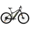 Metalowy rower elektryczny 29" Goldbike 326959 36V 13Ah 250W do 80 km czarny