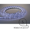 Taśma LED na rolce 5m TL509K Greenie LED 9,6W 5500-6500K IP65 biała zimna