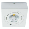 Oczko LAMPA natynkowa IGOR LED 9W 4000K 03128 Ideus metalowa OPRAWA sufitowa REFLEKTOREK regulowany biały