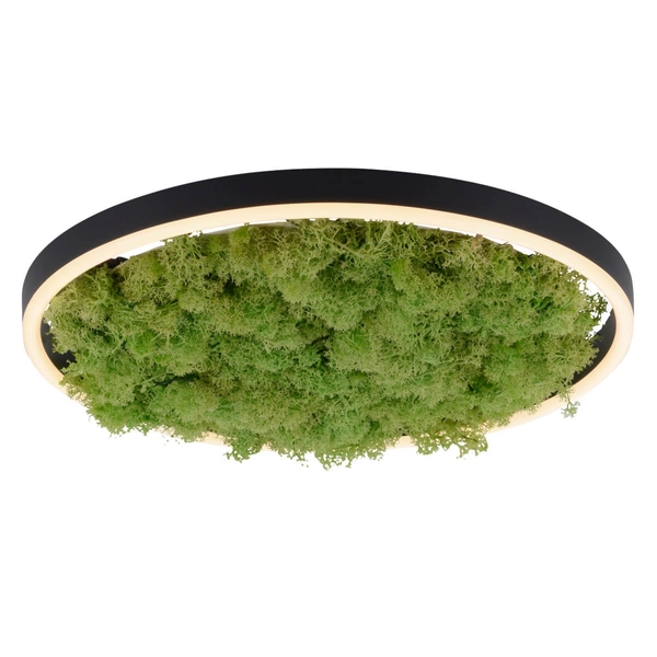 Okrągły plafon GREEN RITU 15391-66 Just Light LED 20W 3000K roślina zielony