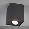 Lampa sufitowa BISCUIT 613000132 Trio do jadalni metalowa czarny