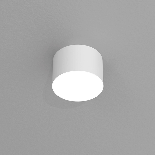 Pokojowa lampa sufitowa Dixie do przedpokoju loft biała