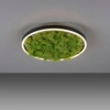 Okrągły plafon GREEN RITU 15391-66 Just Light LED 20W 3000K roślina zielony