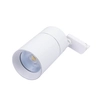 Regulowana LAMPA sufitowa VISION RS1W-30CCT Blaupunkt LED 30W 3000K - 5700K do szynoprzewodu 1-faz biała