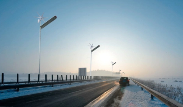 Hybrydowa lampa uliczna Windsun WS-40W+FA1M+SO4M Greenie LED 40W IP65 biała