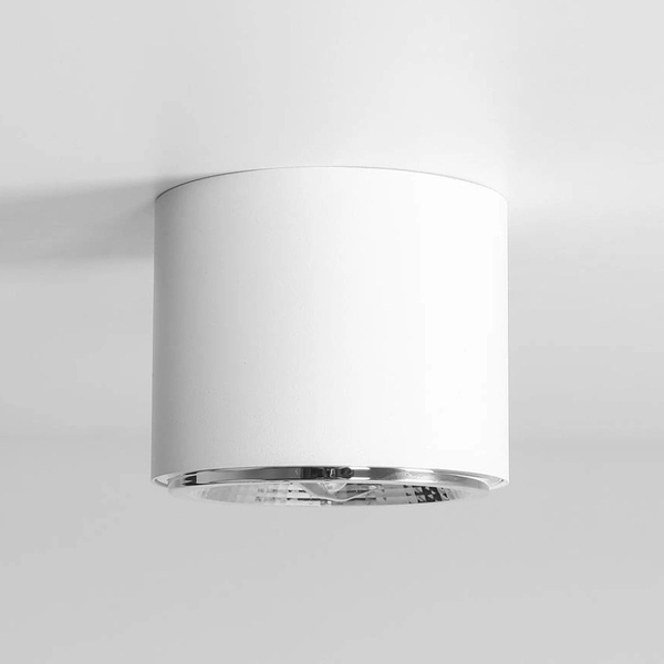 Spot metalowy BOT 1046PL_G Aldex okrągły plafon do kuchni biały