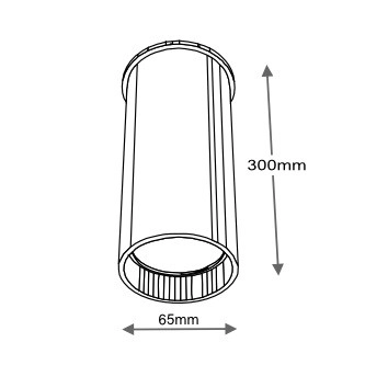 Sufitowa LAMPA downlight ARIDA 7010 Shilo natynkowa OPRAWA reflektorowa do łazienki tuba biała