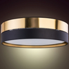 Lampa sufitowa loftowa Hilton 4345 TK Lighting okrągła czarna złota