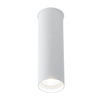 Spot LAMPA sufitowa ARIDA 7009 Shilo tuba downlight OPRAWA biała