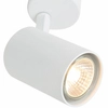 Spot LAMPA sufitowa Tuka Bianco Orlicki Design regulowana OPRAWA metalowa downlight tuba biała
