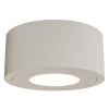 Metalowa lampa sufitowa Rullo Toupe Mini IP44 OR86294 LED 6W 3000K tuba szara