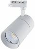 Metalowy reflektor Blaupunkt RS3W-30CCT LED 30W 3000-4000-5700k biały