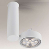 Reflektorowa LAMPA sufitowa NATORI 7209 Shilo regulowana OPRAWA metalowa SPOT tuba biała