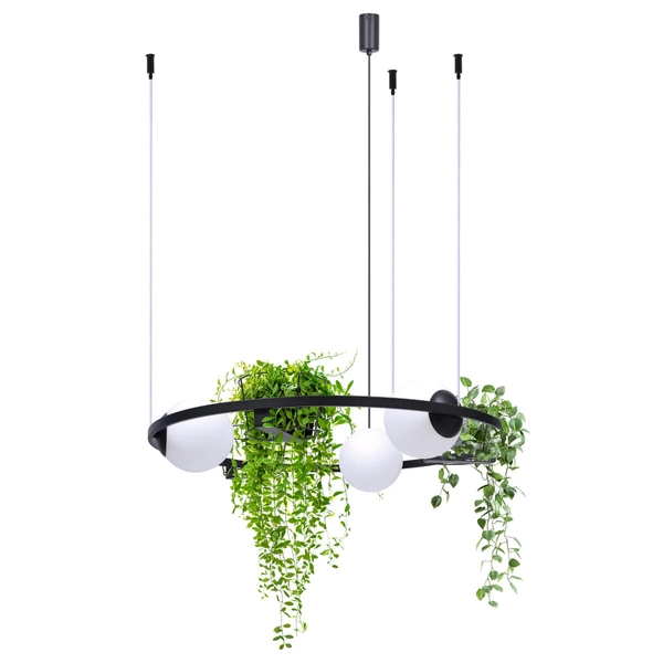 Kuchenna lampa wisząca PLANT 5005 Zumaline kwietniki kule czarna biała