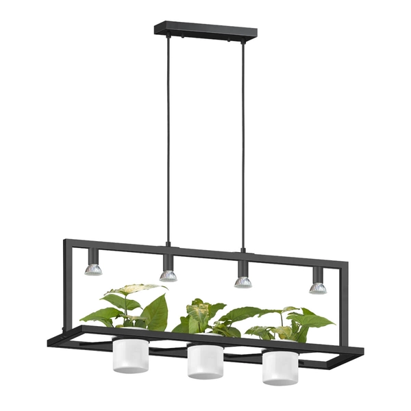 Wisząca lampa z doniczkami Planter P0536-04B-P7AB Zumaline czarny biały