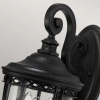 Elewacyjna LAMPA ogrodowa English FE-EB2-M-BLK Elstead FEISS zewnętrzna OPRAWA elewacyjna klasyczna outdoor IP44 czarna przezroczysta