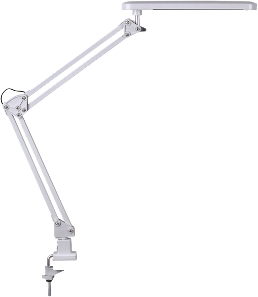 Stojąca LAMPA stołowa RAUL 4420 Rabalux biurkowa LAMPKA industrialna LED 5,6W 4500K srebrna