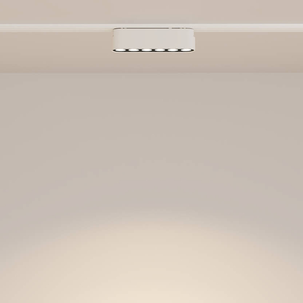 Przysufitowa lampa do szyny owalna  Points TR082-1-6W3K-M-W 6W 4000K biały