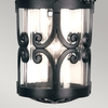 Lampa wisząca Hereford BL13B-BLACK Elstead na łańcuchu ogrodowa czarna