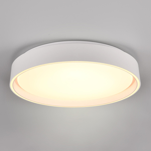 Ledowy plafon gabinetowy Felis R64391031 RL Light 24W 2700-6500K biały