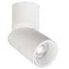 Regulowana lampa sufitowa Focus LED RNBS15WW 15W 3000K spot biały