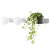 LAMPA ścienna BOTANICA 20852201 Kaspa metalowa OPRAWA półka KINKIET kule balls białe