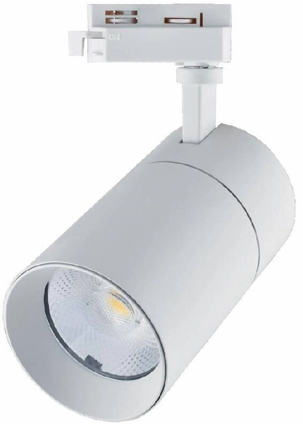 Metalowy reflektor Blaupunkt RS3W-30CCT LED 30W biały