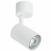 Spot LAMPA sufitowa Tuka Bianco Orlicki Design regulowana OPRAWA metalowa downlight tuba biała OUTLET