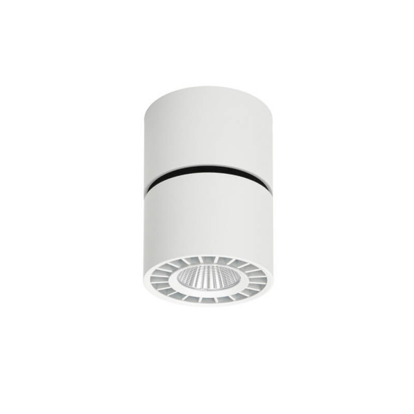 Regulowany downlight pokojowy Herios LED 12W 3000K tuba z regulacją biała