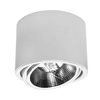 Lampa nasufitowa kuchenna 448 Domeno LED downlight okrąg biała