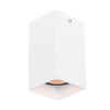 Metalowa sufitowa lampa Ander CLN-28394-S-WH Italux do salonu biała