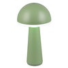 Stołowa lampka grzybek Fungo R57716149 IP54 LED 2W 3000-5000K zielony