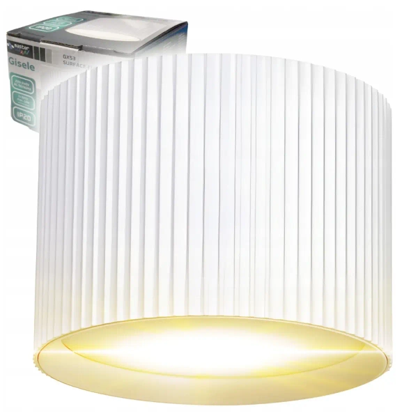 Biurowa lampa natynkowa GISELE CGGISELEWH tuba okrągła biały