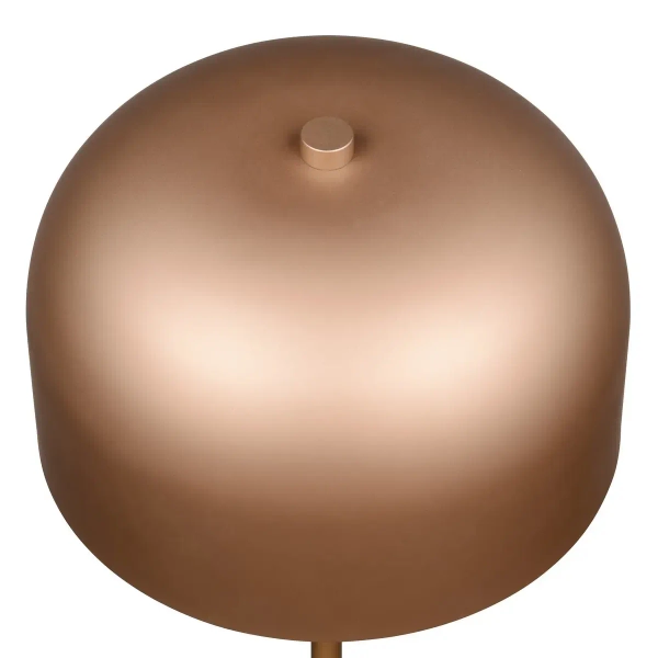 Ściemnialna lampa podłogowa JEFF R49151165 LED 2,5W 3000K brązowy