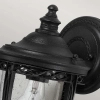 Zewnętrzna LAMPA elewacyjna English FE-EB2-S-BLK Elstead FEISS ogrodowa OPRAWA ścienna szklana latarenka IP44 czarna przezroczysta