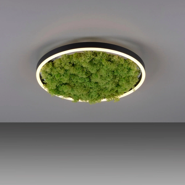 Okrągły plafon GREEN RITU 15391-66 Just Light LED 20W 3000K roślina zielony