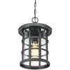 Wisząca LAMPA industrialna Crusade QZ-CRUSADE8-BLK Elstead QUOIZEL okrągła OPRAWA szklany ZWIS na łańcuchu IP44 czarny
