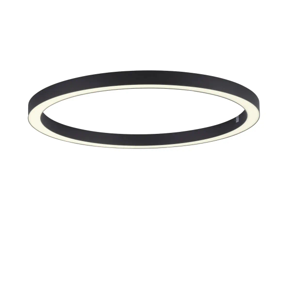 Owalna lampa sufitowa z pilotem PURE-LINES grafitowa 6306-13 1xLED 42W CCT